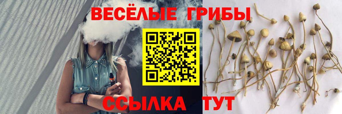 Псилоцибиновые грибы мухоморы Воскресенск